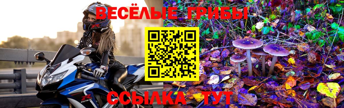 Анапа  где продают   Вход с VPN  Псилоцибиновые грибы GOLDEN TEACHER  Псилоцибиновые грибы Cubensis 