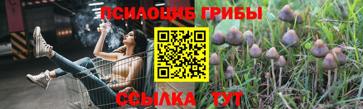 Псилоцибиновые грибы ЛСД Анапа